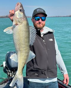 A fisherman holding a large pike-perch in Traverse City
