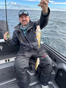 A person fishing in MI