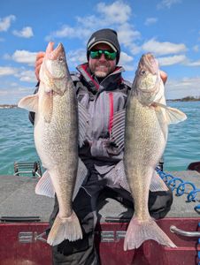 Two walleye fish caught in Traverse City