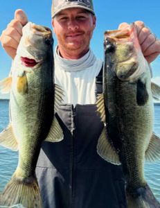 Fish-Species