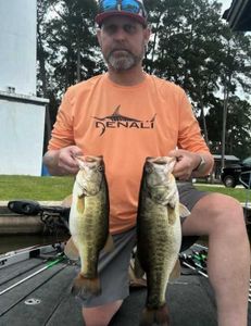 Fish-Species
