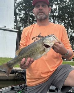 Fish-Species