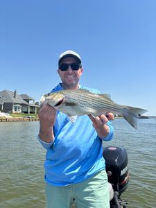 Fish-Species
