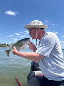 Fish-Species