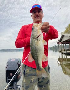 Fish-Species