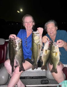 3 largemouth bass, fishing in TX