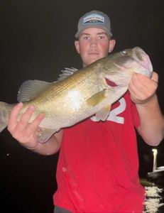 Fish-Species