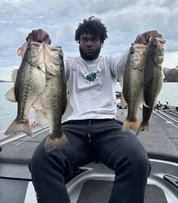 4 largemouth bass caught in TX