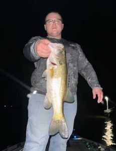 Fish-Species