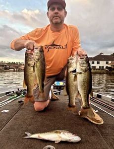 5 fishing in TX