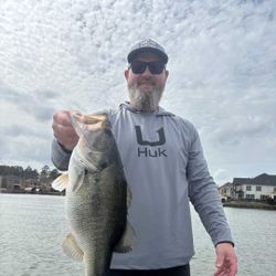 Fish-Species
