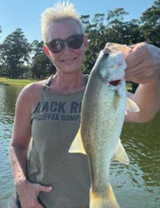 Fish-Species