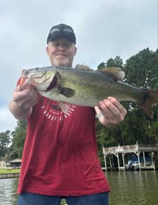 Fish-Species