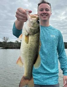 Fish-Species