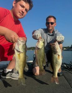 Fish-Species