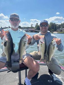 4 largemouth bass caught while fishing in Madisonville