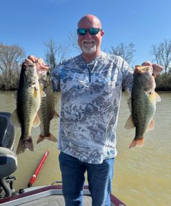 Two largemouth bass caught while fishing in TX