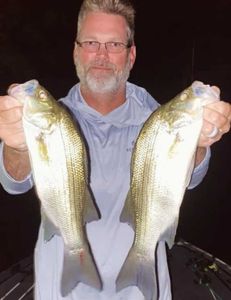 Fish-Species