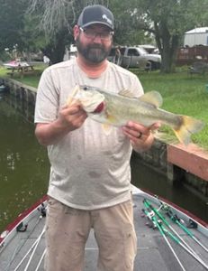 Fish-Species