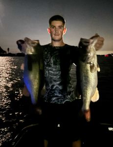 Fish-Species