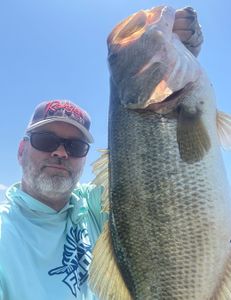 A fishing scene in Madisonville