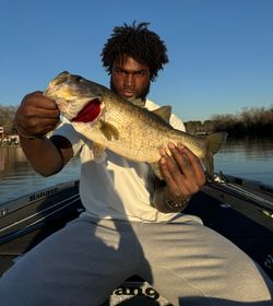 Angler fishing in TX