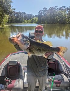 Largemouth Bass caught in TX
