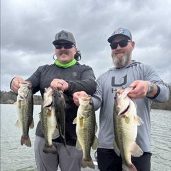 Four largemouth bass caught while fishing in Madisonville