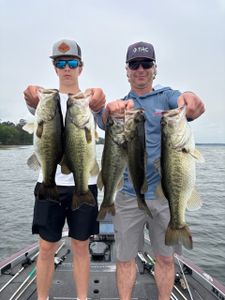 Five large largemouth bass caught during fishing trip in Madisonville