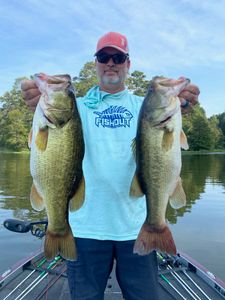 Two largemouth bass caught while fishing in TX