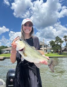 Largemouth bass caught while fishing in TX