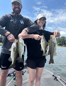 4 Largemouth Bass and Florida Bass caught fishing in TX
