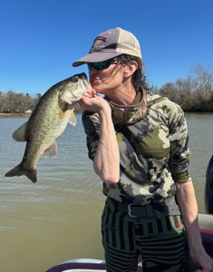 Photograph of a Largemouth Bass caught by a person in Madisonville