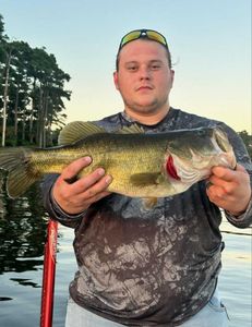 Largemouth bass caught by angler in Madisonville