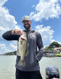 Largemouth bass caught in Madisonville