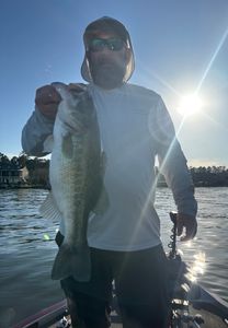 Largemouth bass caught in Madisonville