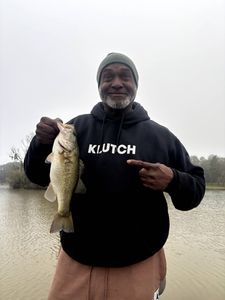 Largemouth bass fishing in Madisonville