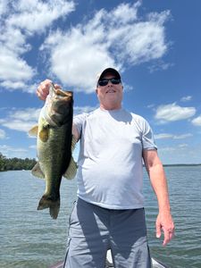Largemouth Bass caught in Madisonville