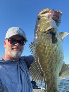 Largemouth Bass caught while fishing in Madisonville