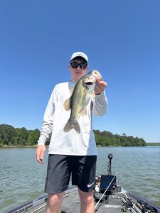 Largemouth Bass caught while fishing in Madisonville