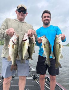 5 Largemouth Bass caught fishing in Madisonville
