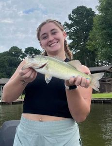 Largemouth bass caught in Texas