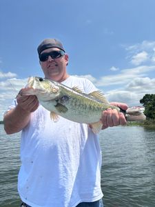 Largemouth bass fishing in Texas