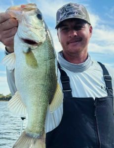 Largemouth Bass caught in TX
