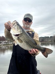 Largemouth bass caught while fishing in TX