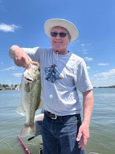 Largemouth bass caught in TX