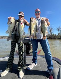 Four largemouth bass and smallmouth bass caught fishing in Madisonville