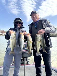 Five largemouth bass and florida bass caught during fishing in Madisonville