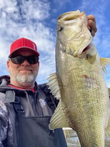 Angler with a 22-inch catch in Madisonville