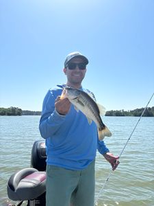 One fisherman catches a 15-inch fish in Madisonville